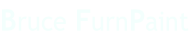 Bruce FurnPaint